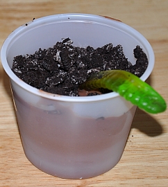 dirt cups