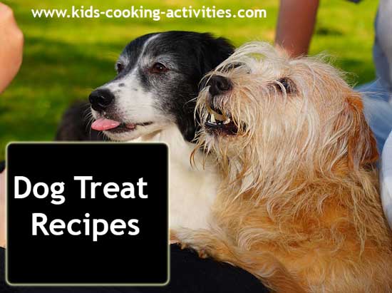 dog treat recipes