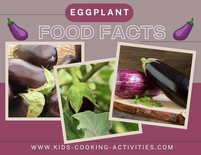 eggplant food facts picture of eggplant