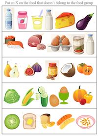 food groups worksheet