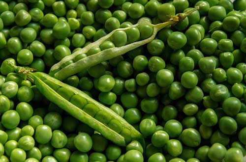 green peas in a pod for food facts