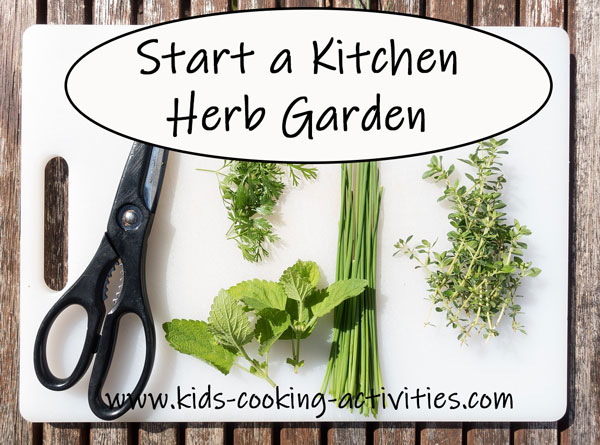 starting an herb garden