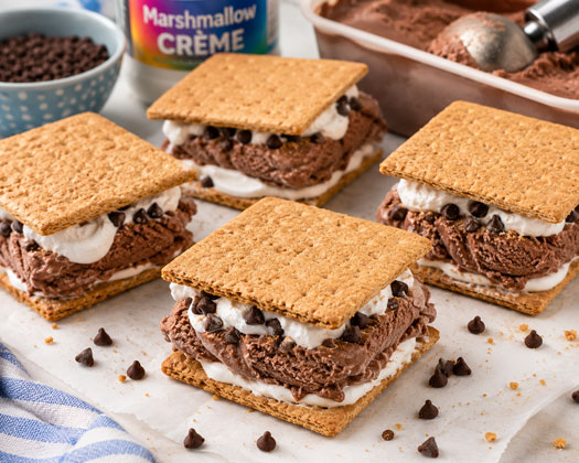 Ice cream smores dessert