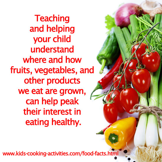 Use these food facts sheets to teach your kids about the food we eat.