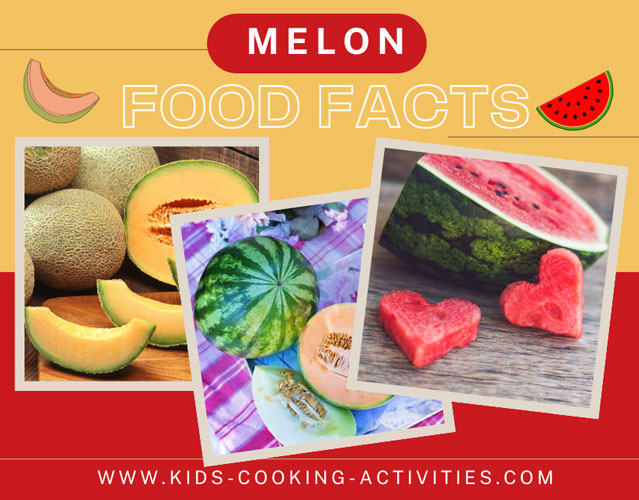 learning more facts about melons