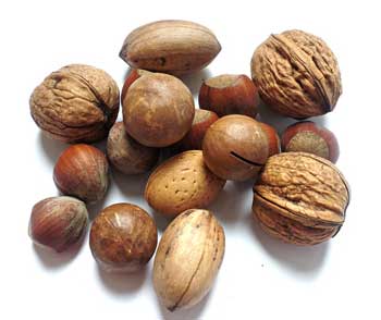 nut facts picture of mixed nuts, including walnut, almond,hazelnuts, brazil nuts all in the shell