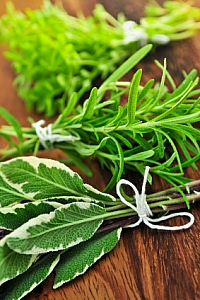 fresh herbs