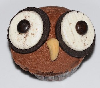 owl cupcake