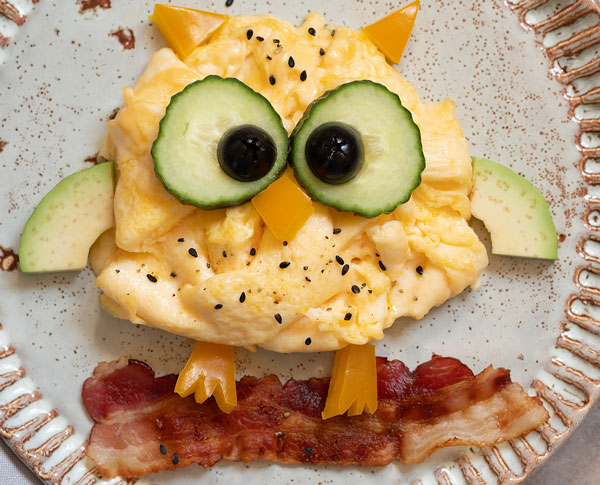 owl omelet