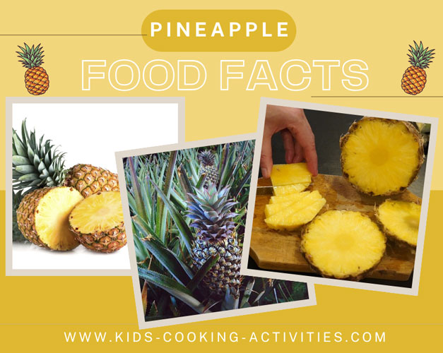 pineapple food facts, picture of whole pineapple