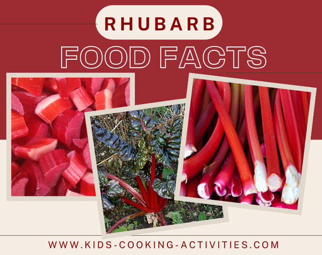rhubarb food facts