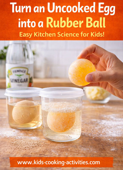 Uncooked egg turned into a rubber ball experiment