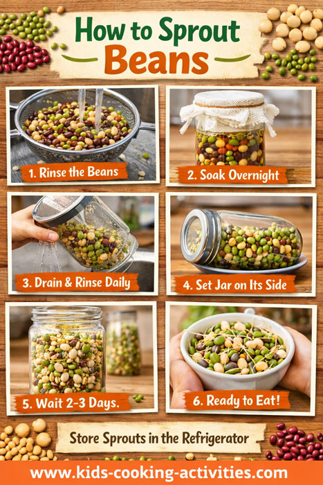 Steps for sprouting beans in a jar