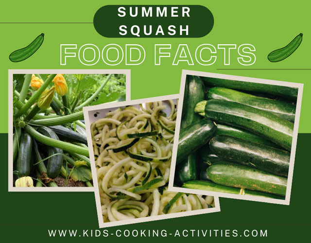 zucchini facts