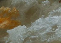 what is it food photo