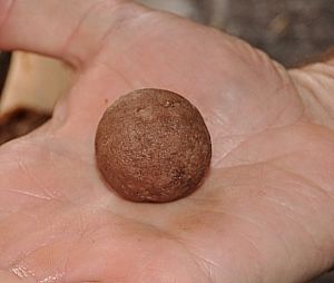 truffle ball