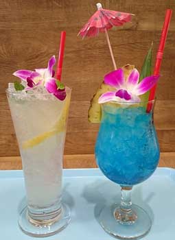 tropical fun drinks