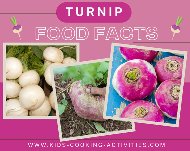 turnip facts