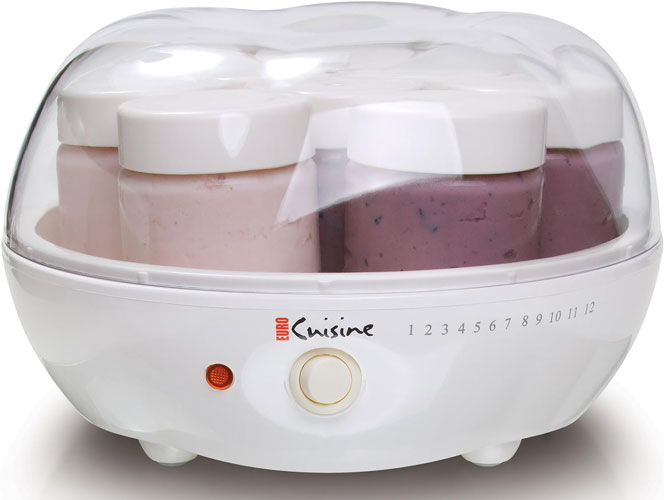 homemade yogurt maker